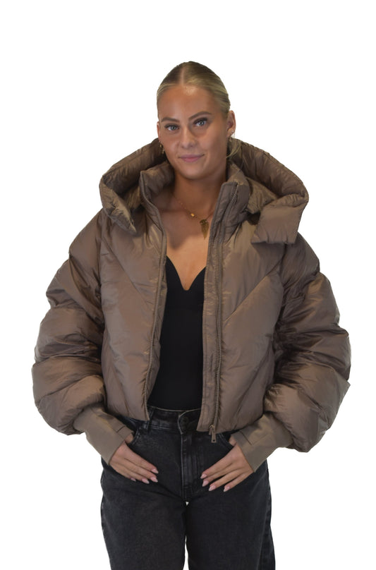 Cloud Puffer Jacket - Champagne